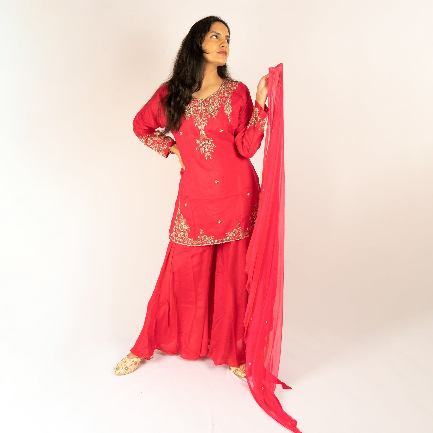 Zardosi work pure silk Rani(pink) sharara set